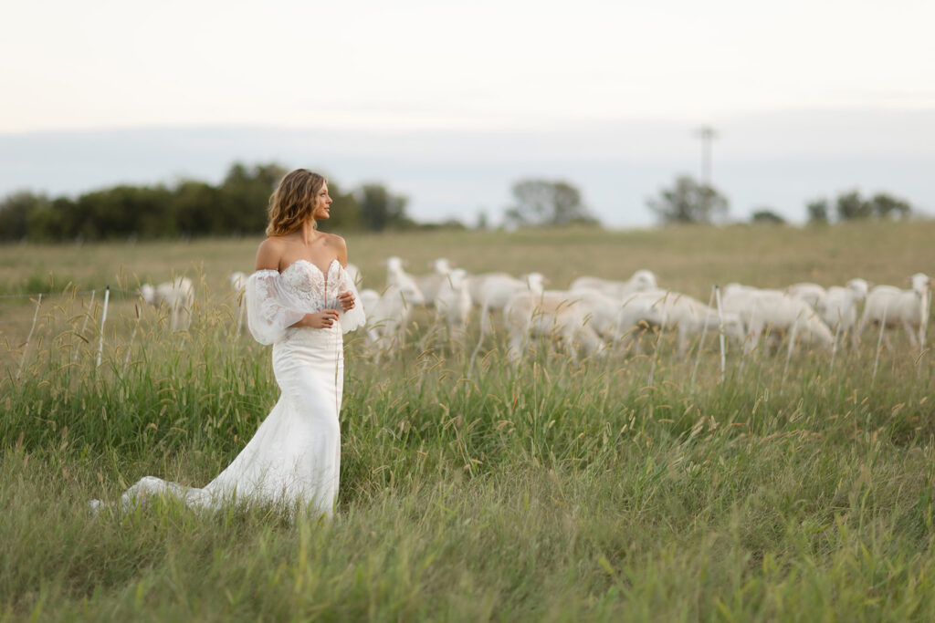 Bride in wedding dress in a field at a Rock Hill, SC wedding, planned and designed by Crafted Charm Wedding Planning