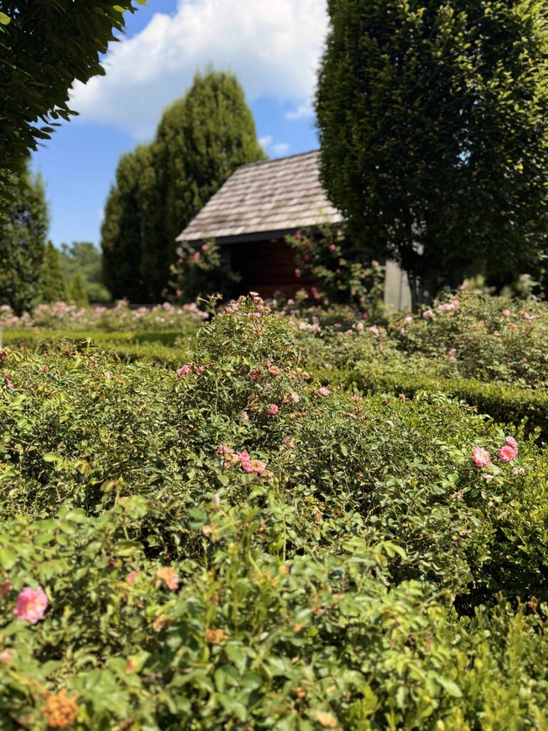 The Andrews Farm English Cottage Garden- Wedding Venue- Midland, NC