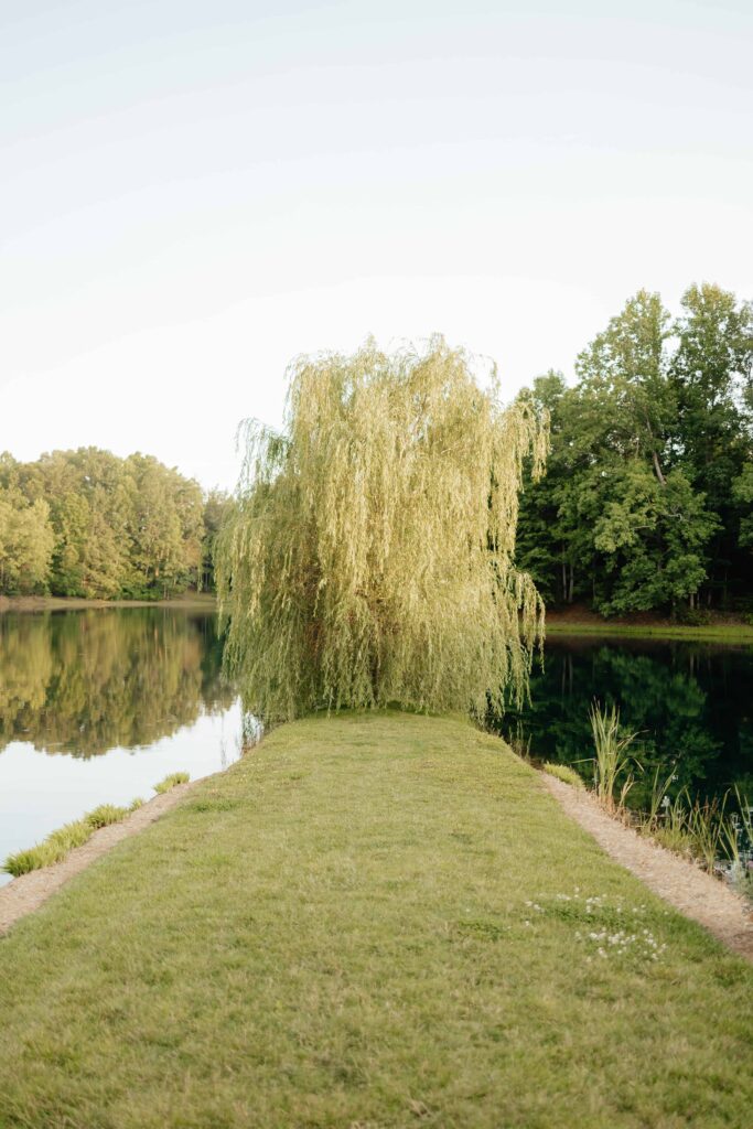 Abbie-J-Photography_-Splendor-Pond_ Willow Tree Ceremony Area_ Mooresville Wedding Venue