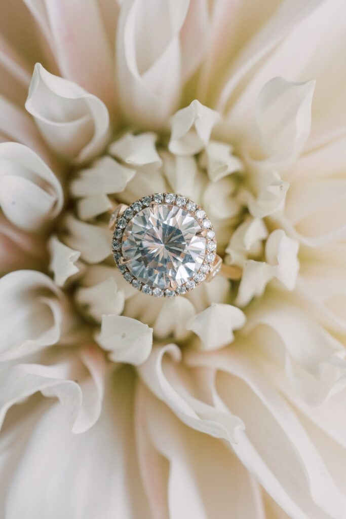 engagement rings